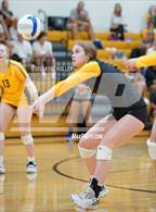Photo from the gallery "Bloomfield Hills @ Adams"