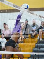 Photo from the gallery "Bloomfield Hills @ Adams"