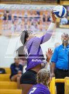 Photo from the gallery "Bloomfield Hills @ Adams"