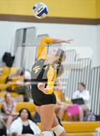 Photo from the gallery "Bloomfield Hills @ Adams"