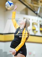 Photo from the gallery "Bloomfield Hills @ Adams"