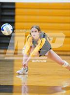 Photo from the gallery "Bloomfield Hills @ Adams"