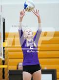 Photo from the gallery "Bloomfield Hills @ Adams"