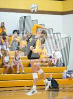 Photo from the gallery "Bloomfield Hills @ Adams"