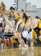 Photo from the gallery "Bloomfield Hills @ Adams"