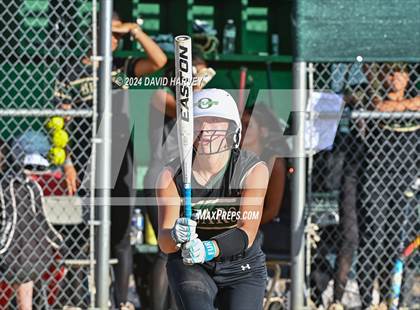 Thumbnail 3 in Golden vs Bear Creek photogallery.