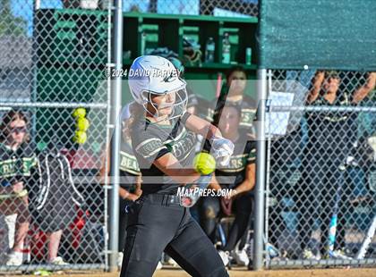 Thumbnail 1 in Golden vs Bear Creek photogallery.