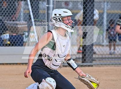 Thumbnail 1 in Golden vs Bear Creek photogallery.