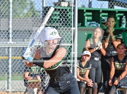 Thumbnail 3 in Golden vs Bear Creek photogallery.