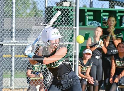 Thumbnail 2 in Golden vs Bear Creek photogallery.