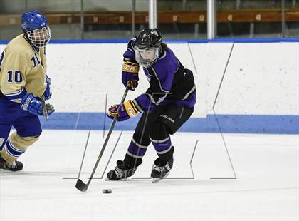 Thumbnail 2 in Newtown vs. Tri-Town (CIAC Division III Semifinal) photogallery.