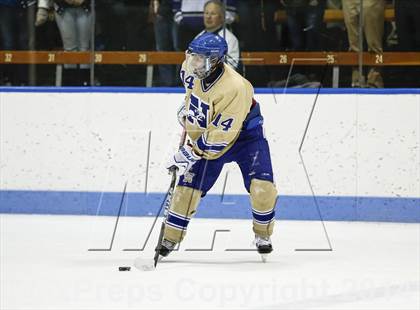 Thumbnail 1 in Newtown vs. Tri-Town (CIAC Division III Semifinal) photogallery.