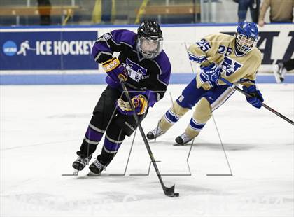 Thumbnail 3 in Newtown vs. Tri-Town (CIAC Division III Semifinal) photogallery.