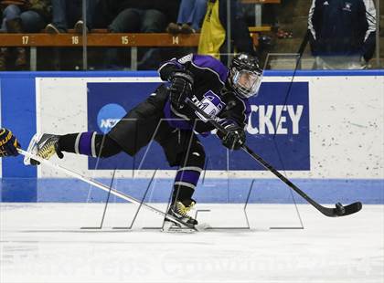 Thumbnail 2 in Newtown vs. Tri-Town (CIAC Division III Semifinal) photogallery.