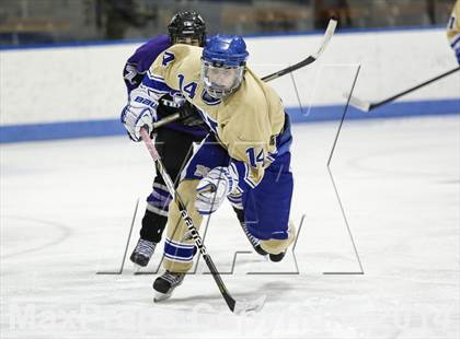 Thumbnail 2 in Newtown vs. Tri-Town (CIAC Division III Semifinal) photogallery.