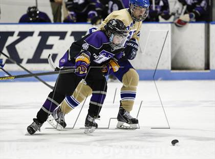 Thumbnail 3 in Newtown vs. Tri-Town (CIAC Division III Semifinal) photogallery.