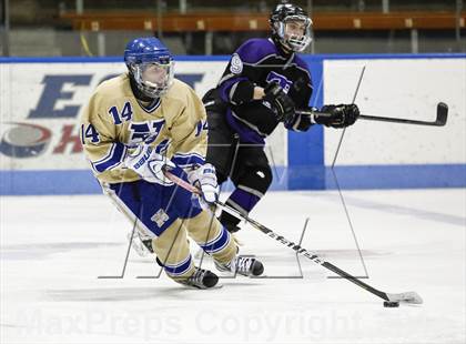 Thumbnail 2 in Newtown vs. Tri-Town (CIAC Division III Semifinal) photogallery.