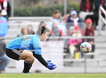 Thumbnail 3 in Mandeville @ Archbishop Rummel photogallery.