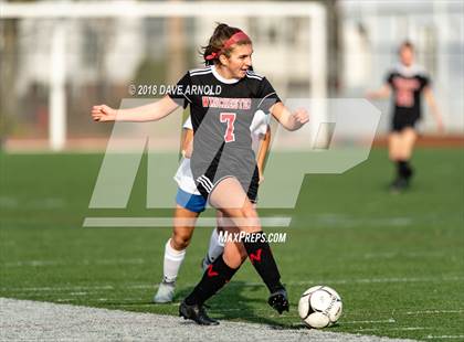 Thumbnail 3 in Winchester vs. Danvers (MIAA Division 2 North Final) photogallery.