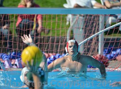 Thumbnail 1 in North/South Medford @ Sheldon photogallery.