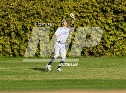 Thumbnail 3 in Sonora @ Esperanza photogallery.