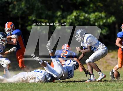 Thumbnail 2 in Dobbs Ferry @ Chester photogallery.