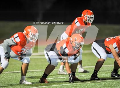 Thumbnail 3 in JV: Horn @ Rockwall photogallery.