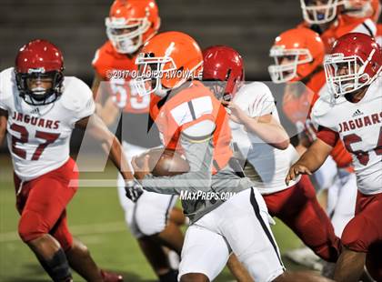 Thumbnail 3 in JV: Horn @ Rockwall photogallery.