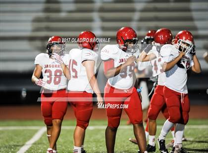 Thumbnail 3 in JV: Horn @ Rockwall photogallery.