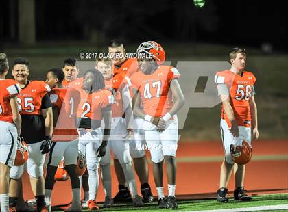 Thumbnail 2 in JV: Horn @ Rockwall photogallery.
