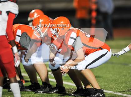 Thumbnail 2 in JV: Horn @ Rockwall photogallery.