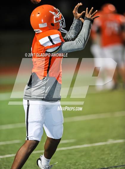 Thumbnail 2 in JV: Horn @ Rockwall photogallery.