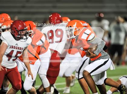 Thumbnail 1 in JV: Horn @ Rockwall photogallery.