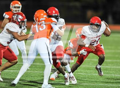 Thumbnail 2 in JV: Horn @ Rockwall photogallery.