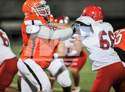 Thumbnail 3 in JV: Horn @ Rockwall photogallery.