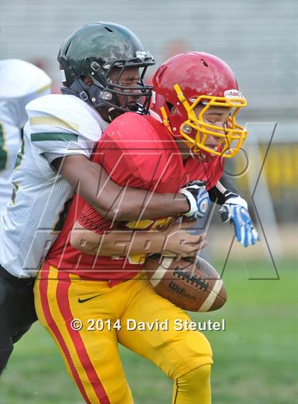 Thumbnail 2 in Monterey Trail @ Jesuit photogallery.