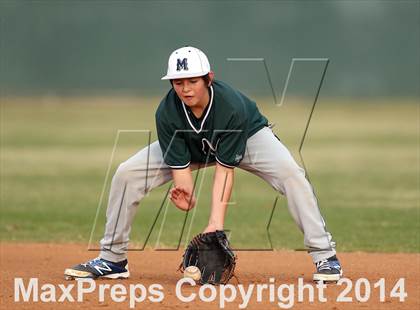 Thumbnail 2 in McNeil JV Green @ Stony Point JV Gold photogallery.