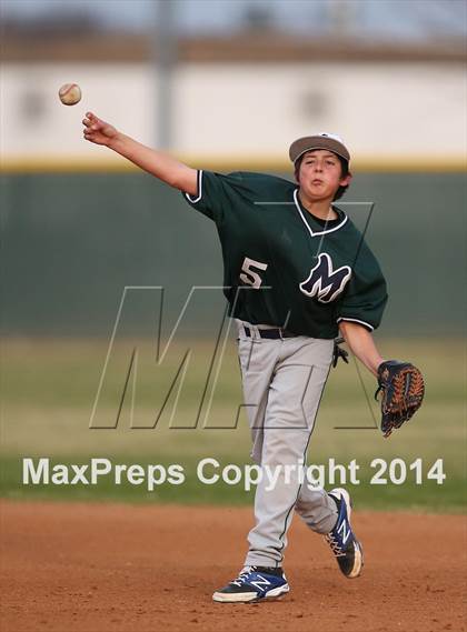 Thumbnail 3 in McNeil JV Green @ Stony Point JV Gold photogallery.