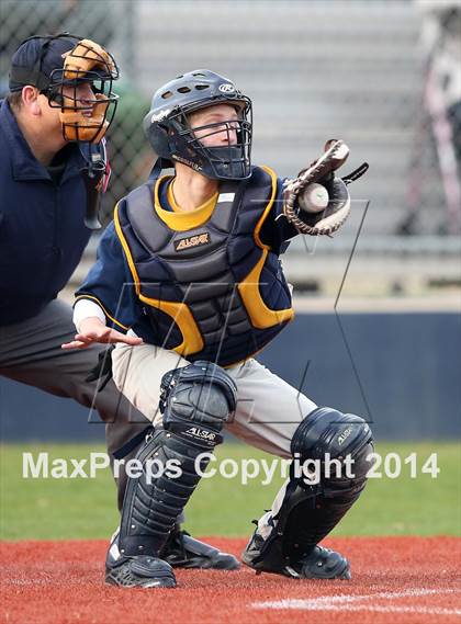 Thumbnail 3 in McNeil JV Green @ Stony Point JV Gold photogallery.