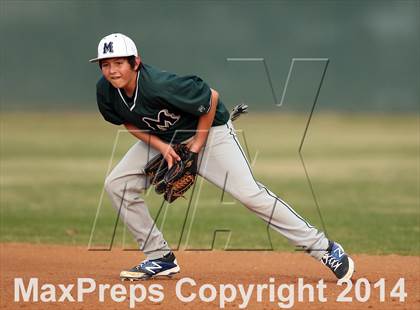 Thumbnail 3 in McNeil JV Green @ Stony Point JV Gold photogallery.