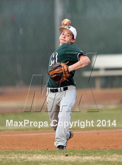 Thumbnail 2 in McNeil JV Green @ Stony Point JV Gold photogallery.