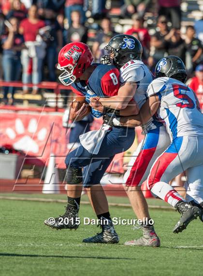 Thumbnail 1 in Joy Christian vs. Benson (AIA D5 Final) photogallery.