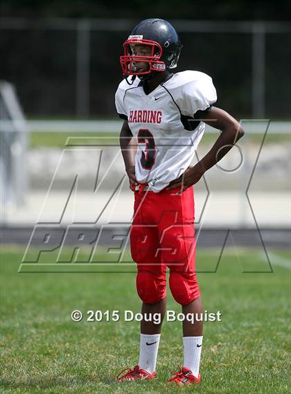 Thumbnail 1 in Lima Senior vs Marion Harding photogallery.