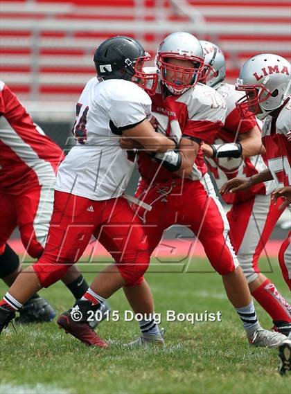 Thumbnail 3 in Lima Senior vs Marion Harding photogallery.