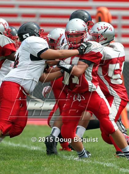 Thumbnail 3 in Lima Senior vs Marion Harding photogallery.