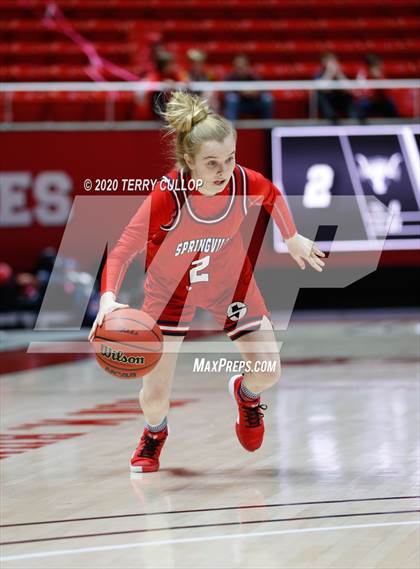 Thumbnail 3 in Springville vs. Lehi (UHSAA 5A Semifinal) photogallery.
