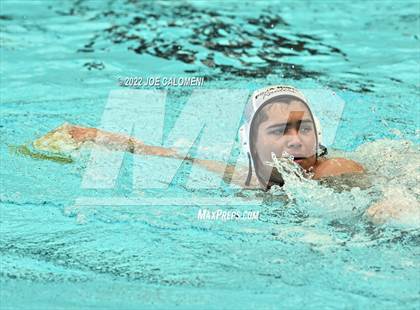 Thumbnail 1 in Clark vs Pharr-San Juan-Alamo North (UIL 6A Region 4 Semifinal) photogallery.