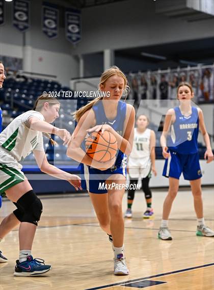 Thumbnail 1 in Van Buren vs Harrison photogallery.
