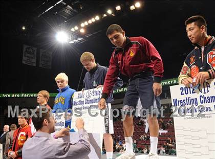 Thumbnail 3 in CIF State Wrestling Championships (Awards) photogallery.