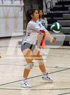 Photo from the gallery "Bear River @ Twelve Bridges"